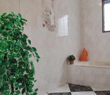 Campillo de Altobuey House | Casa Conchita