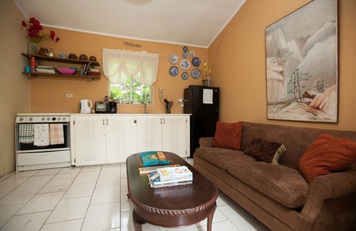 Mandeville Apartment | Casa da Buena Vista Apt 2, |4 Mins from NCU/town | Business Traveller Ready