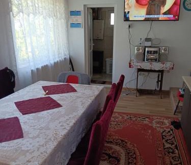 Somova House | Casa Dan Proco