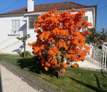 Pacos De Ferreira House | Casa das Uveiras