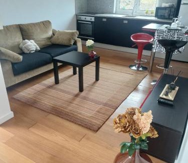 Paredes de Coura Apartment | Casa de Baixo