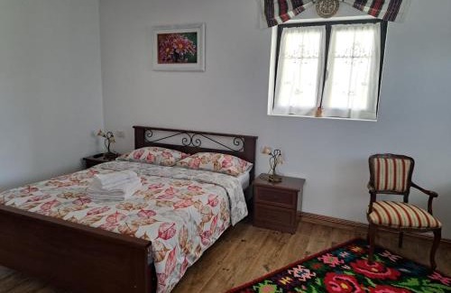 Manastirea Humorului Ski Chalet | Casa Delia