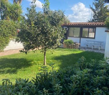 Ardea Apartment | Casa di Paola mare Ardea