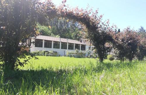 Arcozelo House | Casa do Engenho