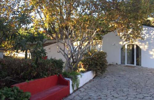 Cascais House | Casa do Hibisco