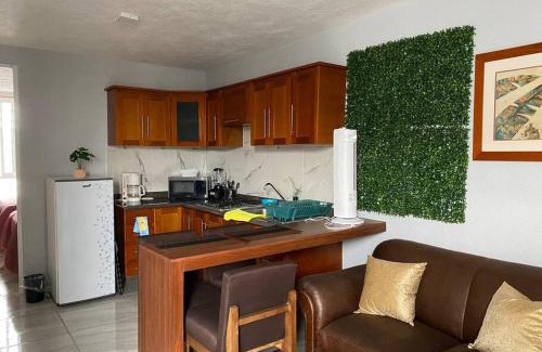 San Pedro Tlaquepaque Apartment | Casa duplex aeropuerto/arena VFG