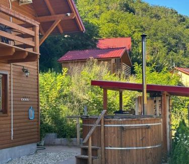 Orastioara de Sus House | Casa Favorit