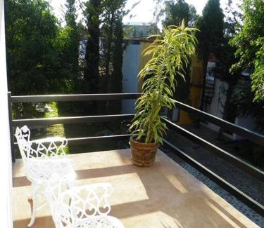 Amealco House | Casa Fresnos