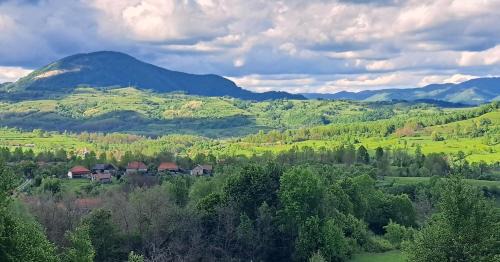 Almasu Mare House | Casa Glod