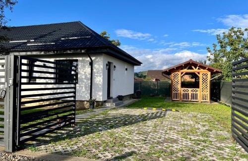 Darmanesti House | Casa Ilinca