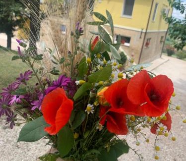 Francavilla d'Ete House | Casa in campagna la Roverella