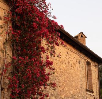 Santa Cristina d'Aspromonte Hotel | Casa Qafiz