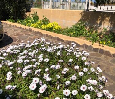 Murta Maria House | CASA JOLANDA