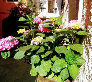 Feglino Apartment | Casa La Quiete