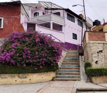 San Ignacio House | Casa Lila