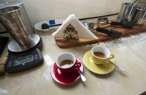 Los Naranjos House | Casa Los Naranjos. your home away from home.