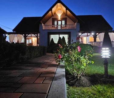 Toplita Villa | Casa Mera