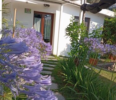 Scala House | Casa Mia