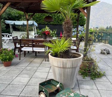 Cannobio Apartment | Casa Mimosa
