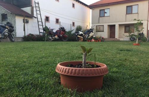 Vama Veche House | Casa Noastra