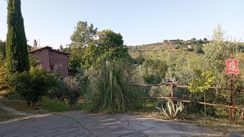 Torri in Sabina House | Casa Nupa