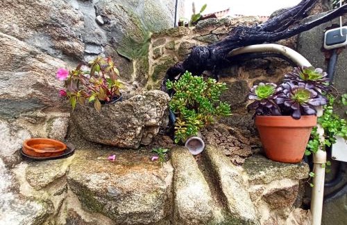 Donon House | Casa O Souto Cangas