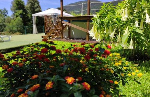 Bico House | Casa Raiz Ponte de Lima