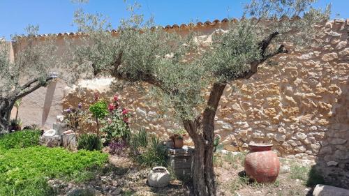 Pinoso Bed & Breakfast | Casa Rodriguillo