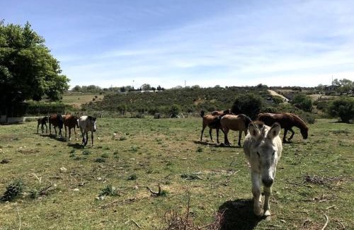 La Canada House | Casa rural a una hora de Madrid