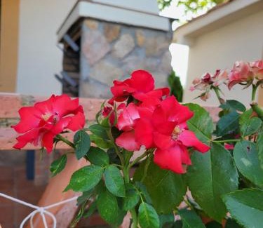 La Cumbre House | Casa Rural Atardeceres