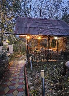 Pucioasa House | Casa Sabina