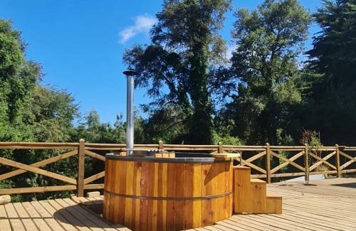 Padre Las Casas House | Casa spa parcela con acceso directo a río Temuco Padre las casas