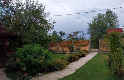 Polovragi House | Casa Stefi si Alexia