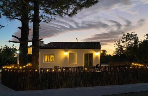 Navarres House | Casa the Dutchman