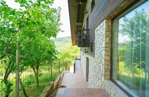 Baile Olanesti House | Casa Tisa