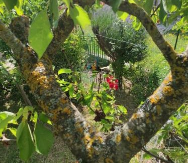 Rionero Sannitico House | Casa Vacanze Le Vigne