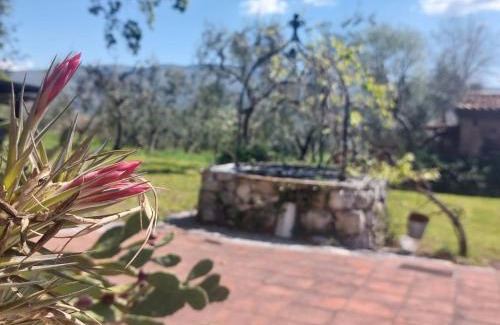 Spigno Saturnia House | Casa Vacanze Malvarosa