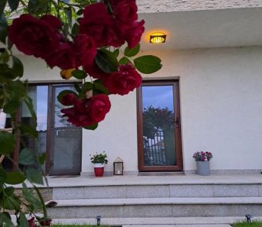 Pantelimon Villa | Casa verde 2
