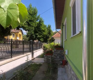 Vata de Jos House | Casa Verde