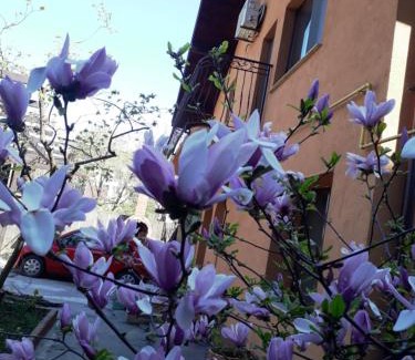Bacau Villa | Casa VIP