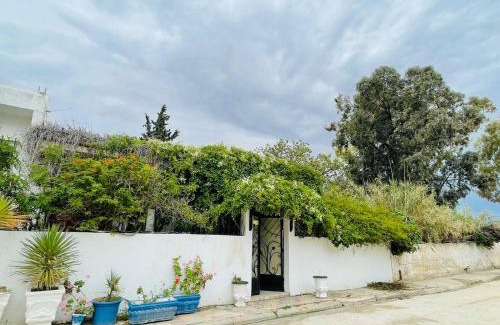 Le Kef House | Casa Zitouna - Guest House - Kef, Tunisia