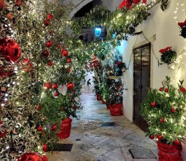 Centro Storico Apartment | Casa Zizì