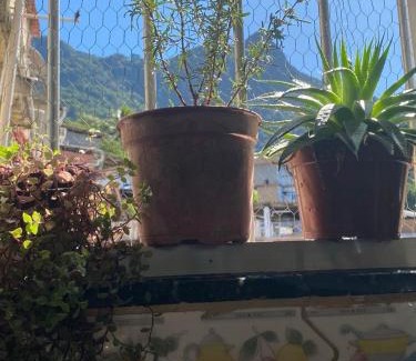 Sao Conrado House | Casa Zona Sul