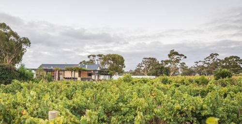 Nuriootpa House | CASALE ESTATE