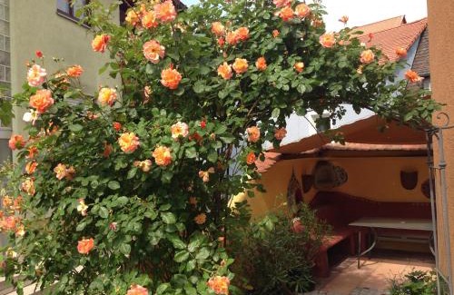 Bad Windsheim Apartment | CasaNova