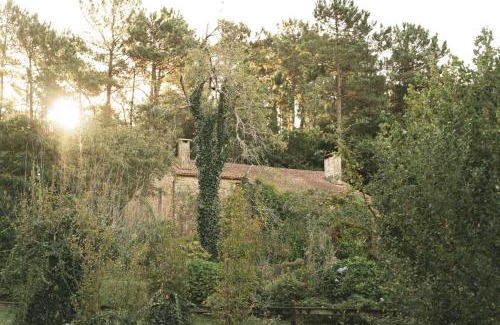 Vilarello House | Casas Alexandre
