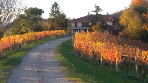 Monforte d'Alba Bed & Breakfast | Cascina Torello