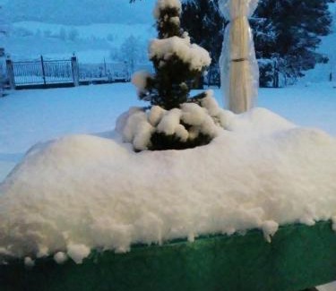 Monforte d'Alba Bed & Breakfast | Cascina Torello