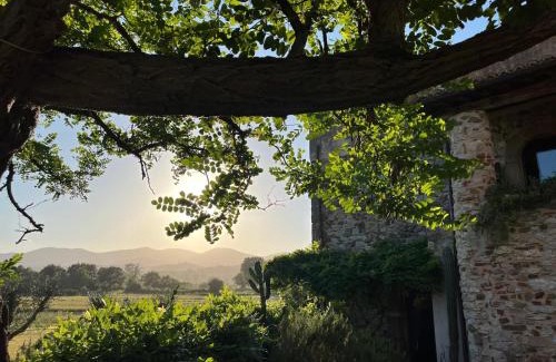Castiglione della Pescaia House | Case di Vetulonia