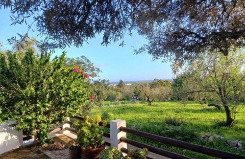 Santo Estevao House | Casinha Serena by east ALgarve guest